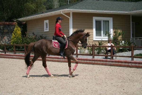 Padok Premium Hotel and Stables (Gökova)